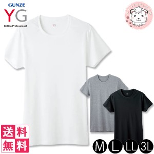 グンゼ YG ワイジー メンズ コットン100% 半袖 クルーネックTシャツ YV0013V 2枚セット M/L/LL/3L
