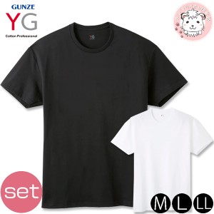 tシャツ 2枚セット メンズ 半袖 クルーネックTシャツ グンゼ YG コットン 超速吸水 丸首Tシャツ YV0613V M/L/LL