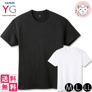 tシャツ 2枚セット メンズ 半袖 クルーネックTシャツ グンゼ YG コットン 超速吸水 丸首Tシャツ YV0613V M/L/LL