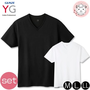 tシャツ 2枚セット メンズ 半袖  VネックTシャツ グンゼ YG コットン 超速吸水 V首Tシャツ YV0615V M/L/LL