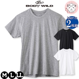 tシャツ メンズ 半袖 クルーネックTシャツ 2枚組 グンゼ ボディワイルド 丸首Tシャツ BW5013A M/L/LL