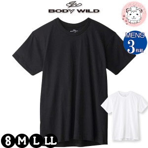 tシャツ メンズ 半袖 クルーネックTシャツ 3枚組 グンゼ ボディワイルド 丸首Tシャツ BW5013B S/M/L/LL