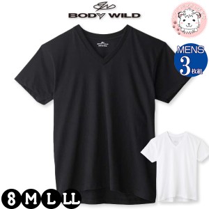 tシャツ メンズ 半袖 VネックTシャツ 3枚組 グンゼ ボディワイルド V首Tシャツ BW5015B S/M/L/LL