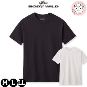 tシャツ メンズ 半袖 クルーネックTシャツ グンゼ ボディワイルド 丸首Tシャツ エチケット+汗ジミ対応 BW5313B M/L/LL
