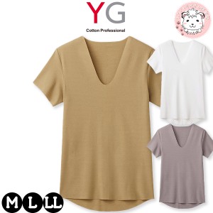 tシャツ メンズ 半袖  VネックTシャツ グンゼ YG ネクストラ カットオフ V首Tシャツ YN1515 M/L/LL