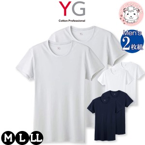 クルーネックTシャツ 2枚組 グンゼ YG ワイジー メンズ DRY＆DEO クルーネック 丸首 Tシャツ YV0113B M/L/LL おためし