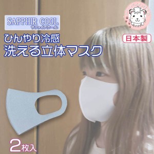 【アウトレット】ひんやり 立体 マスク 2枚組 フリーサイズ 日本製 洗濯可能 立体マスク 繰り返し利用可能 感染症予防 予防 花粉 ほこり 