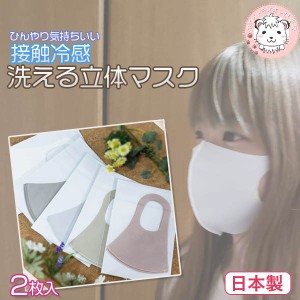 【アウトレット】接触冷感 立体 マスク 2枚入り フリーサイズ 日本製 洗濯可能 立体マスク 繰り返し利用可能 感染症予防 予防 花粉 ほこ