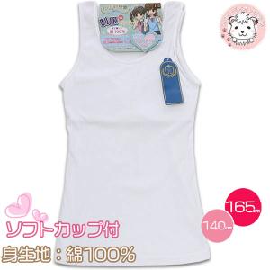 習字 セット 女の子 イオンの通販 Au Pay マーケット