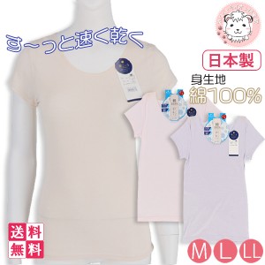 半袖 インナーシャツ 3枚セット レディース フレンチ袖インナー 肌ごころ 半袖 シャツ 日本製 M/L/LL