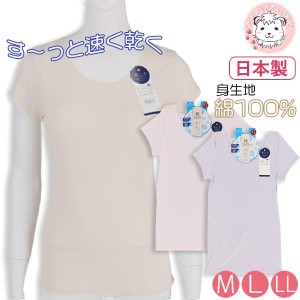半袖 インナーシャツ レディース フレンチ袖インナー 肌ごころ 半袖 シャツ 日本製 M/L/LL