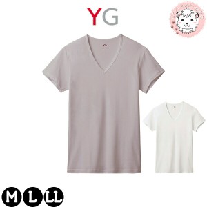 グンゼ YG NEXTRA+ DRYDEO 吸汗速乾 無地 メンズ 綿100％ YN0015A M/L/LL/3L Vネック Tシャツ インナー 下着 アンダーウェア GUNZE