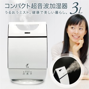 加湿器 かわいいの通販 Au Pay マーケット