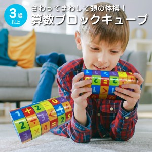 知育玩具 算数 ナンバー ブロックキューブ 円筒型 計算 さんすう 足し算 引き算 かけ算 引き算 練習 九九 math-cube