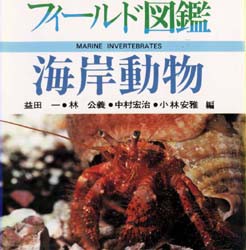 【新品】海岸動物　益田一/〔ほか〕編