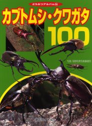 【新品】カブトムシ・クワガタ100　どうぶつアルバム　16　海野和男写真事務所/写真　島澤香織/文