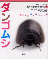 【新品】ダンゴムシ　布村昇/監修　佐藤裕/撮影　安東浩/撮影　Cheung*ME/絵