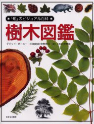 【新品】樹木図鑑　デヴィッド・バーニー/著　中村武久/日本語版監修