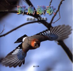 【新品】【本】野鳥讃歌　吉田典一写真集　吉田典一/著