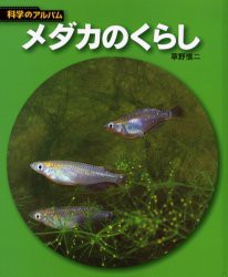 【新品】【本】メダカのくらし　新装版　草野慎二/著