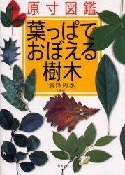 葉っぱでおぼえる樹木　原寸図鑑　浜野周泰/監修