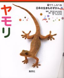 【新品】ヤモリ　疋田努/監修　佐藤裕/撮影　関慎太郎/撮影　Cheung*ME/絵