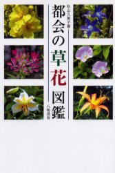 【新品】【本】都会の草花図鑑　秋山久美子/著