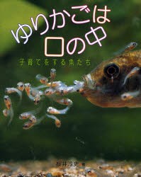 【新品】【本】ゆりかごは口の中　子育てをする魚たち　桜井淳史/著　岩崎保宏/絵