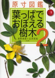 【新品】【本】葉っぱでおぼえる樹木　原寸図鑑　2　浜野周泰/監修　石井英美/監修