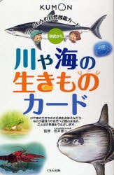 川や海の生きものカード　幼児から　岩井修一/監修