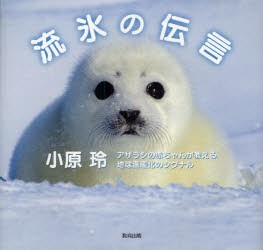 【新品】【本】流氷の伝言　アザラシの赤ちゃんが教える地球温暖化のシグナル　小原玲/著