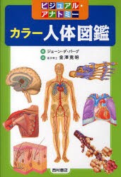 【新品】カラー人体図鑑　ビジュアル・アナトミー　ジェーン・ダ・バーグ/編　金沢寛明/訳