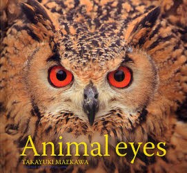 【新品】Animal eyes 青菁社 前川貴行／著