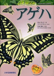 【新品】【本】アゲハ　中山れいこ/著　アトリエモレリ/制作　矢後勝也/監修