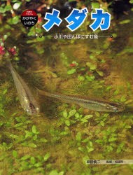 【新品】【本】メダカ　小川や田んぼにすむ魚　草野慎二/著　松浦啓一/監修