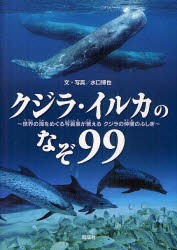 【新品】クジラ・イルカのなぞ99　世界の海をめぐる写真家が答えるクジラの仲間のふしぎ　水口博也/文・写真