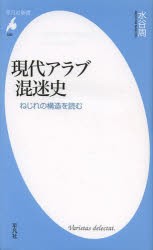 現代アラブ混迷史　ねじれの構造を読む　水谷周/著