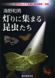 【新品】【本】灯りに集まる昆虫たち　家や街なかで気軽に昆虫観察・採集　海野和男/著