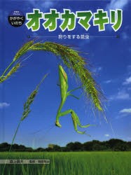 オオカマキリ　狩りをする昆虫　森上信夫/著　岡島秀治/監修