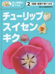 【新品】【本】めざせ!栽培名人花と野菜の育てかた　2　チューリップ・スイセン・キク　球根・宿根で育てる花　日本農業教育学会/監修