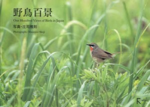 【新品】野鳥百景　庄司雅則/写真