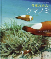 【新品】うまれたよ!クマノミ　大方洋二/写真・文