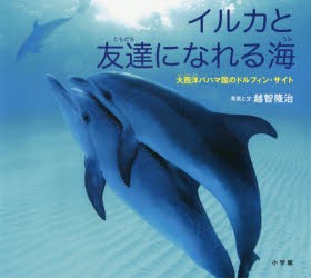 【新品】イルカと友達になれる海　大西洋バハマ国のドルフィン・サイト　越智隆治/写真と文