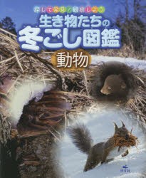 【新品】【本】生き物たちの冬ごし図鑑　探して発見!観察しよう　動物　今泉忠明/監修