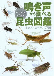 【新品】【本】鳴き声から調べる昆虫図鑑　おぼえておきたい75種　高嶋清明/著