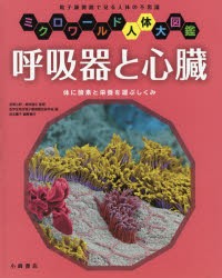 呼吸器と心臓　体に酸素と栄養を運ぶしくみ　電子顕微鏡で見る人体の不思議　宮澤七郎/監修　島田達生/監修　医学生物学電子顕微鏡技術学