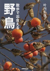 散歩で出会える野鳥　叶内拓哉/写真・文