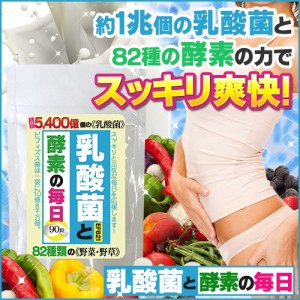 ネコポス発送 送料250円 乳酸菌 サプリメント 乳酸菌と酵素の毎日