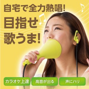 カラオケ UTAET 防音 消音 ボイストレーニング 発声 家庭用 ストレス解消