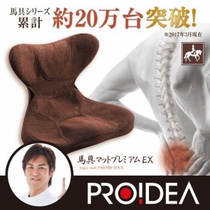 骨盤 クッション 馬具マットプレミアムEX 腰痛 座椅子 姿勢 補正 腰